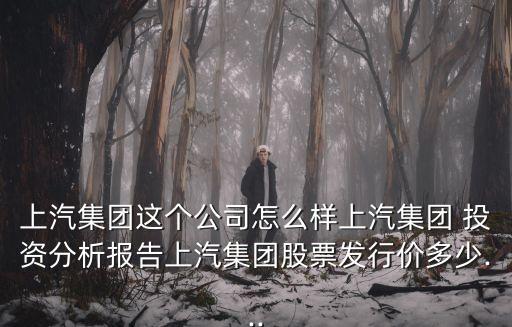 上汽集團這個公司怎么樣上汽集團 投資分析報告上汽集團股票發(fā)行價多少...