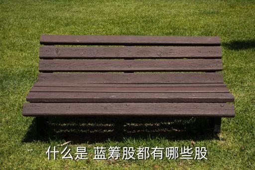 什么是 藍(lán)籌股都有哪些股