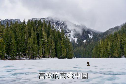 高盛的高盛中國