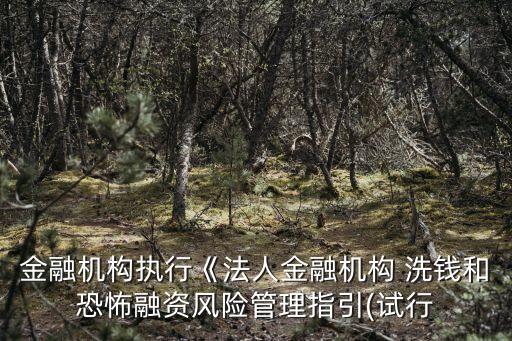 金融機(jī)構(gòu)執(zhí)行《法人金融機(jī)構(gòu) 洗錢和恐怖融資風(fēng)險管理指引(試行