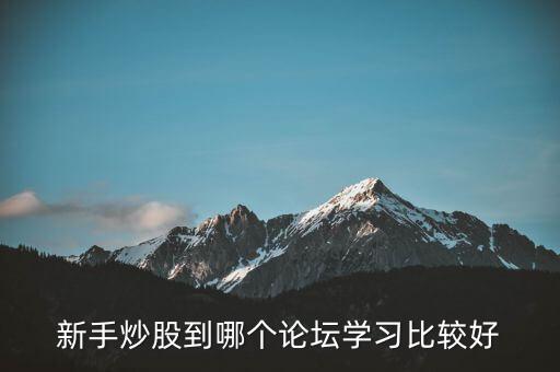 新手炒股到哪個論壇學習比較好