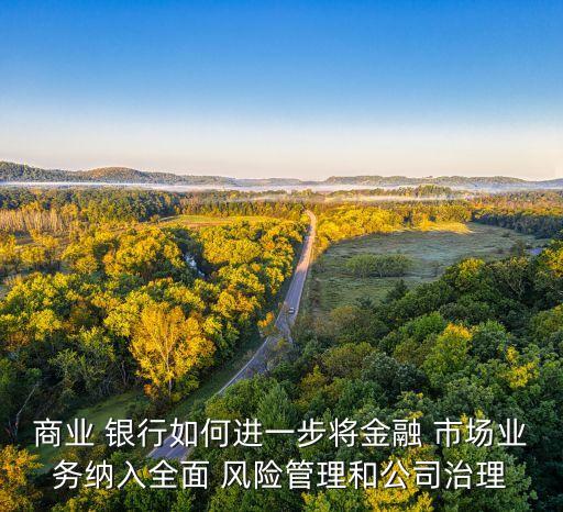 銀行市場(chǎng)風(fēng)險(xiǎn)措施,銀行的市場(chǎng)風(fēng)險(xiǎn)包括