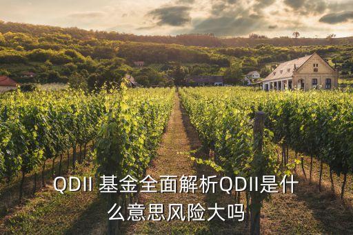 QDII 基金全面解析QDII是什么意思風(fēng)險大嗎