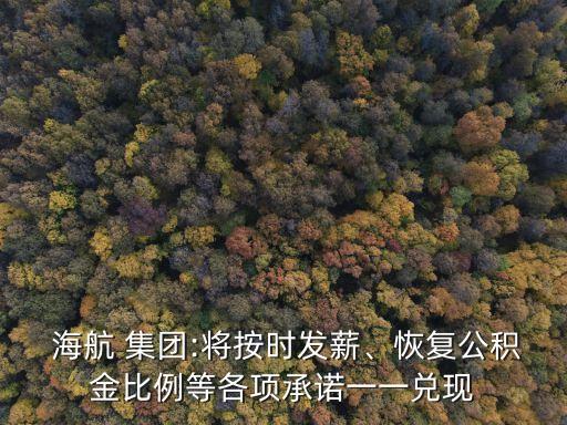  海航 集團(tuán):將按時(shí)發(fā)薪、恢復(fù)公積金比例等各項(xiàng)承諾一一兌現(xiàn)