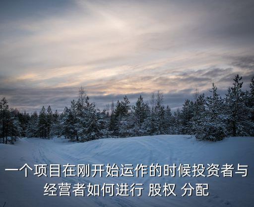 一個(gè)項(xiàng)目在剛開(kāi)始運(yùn)作的時(shí)候投資者與經(jīng)營(yíng)者如何進(jìn)行 股權(quán) 分配