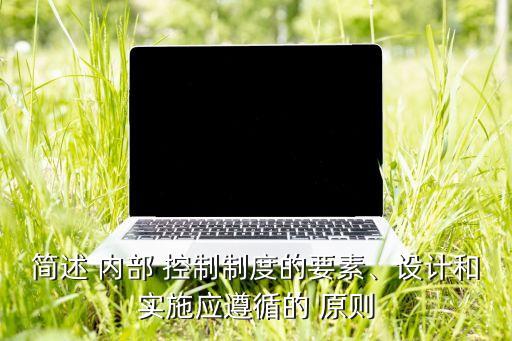 簡述 內(nèi)部 控制制度的要素、設計和實施應遵循的 原則