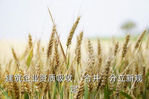 建筑企業(yè)資質(zhì)吸收、 合并、分立新規(guī)定