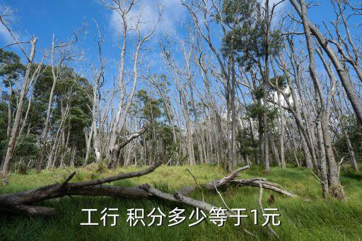 工行 積分多少等于1元