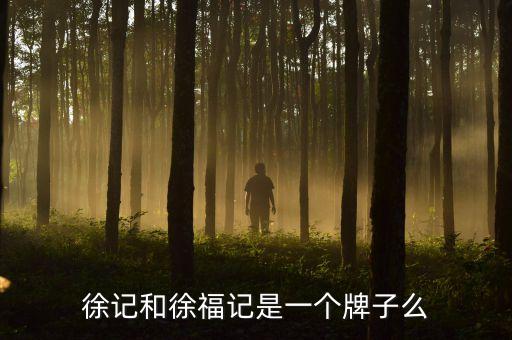 徐氏控股股份有限公司,國投電力控股股份有限公司