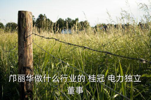 鄺麗華做什么行業(yè)的 桂冠 電力獨(dú)立董事