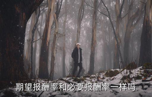 期望報(bào)酬率和必要報(bào)酬率一樣嗎