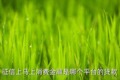 征信上馬上消費(fèi)金融是哪個(gè)平臺(tái)的貸款