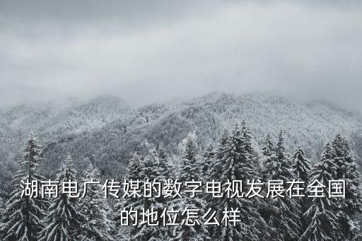 湖南有線(xiàn)電視網(wǎng)絡(luò)集團(tuán),湖南國(guó)安有線(xiàn)電視網(wǎng)絡(luò)