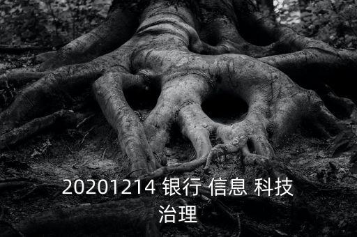 銀行信息科技風(fēng)險期刊
