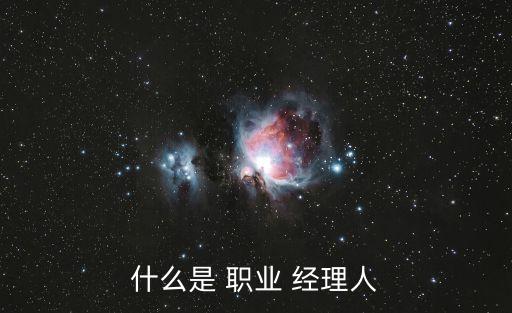 什么是 職業(yè) 經理人