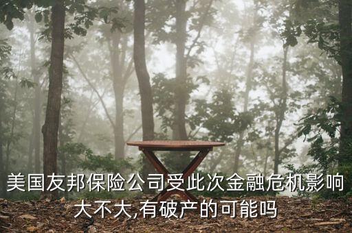 張明為基金會(huì),國際和平交流基金會(huì)張明