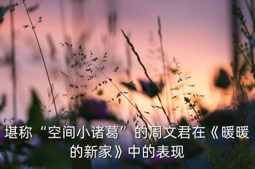 堪稱“空間小諸葛”的周文君在《暖暖的新家》中的表現