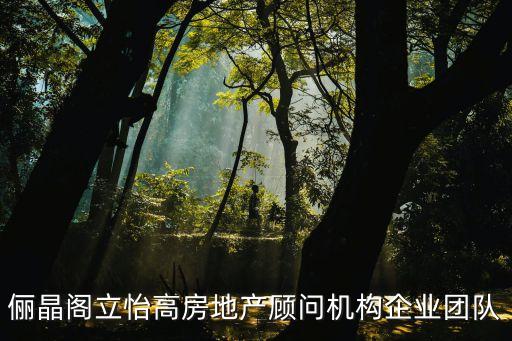 儷晶閣立怡高房地產(chǎn)顧問機(jī)構(gòu)企業(yè)團(tuán)隊