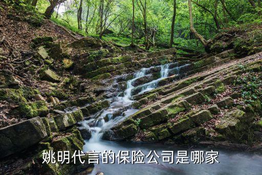 中國平安保險(xiǎn)代言人