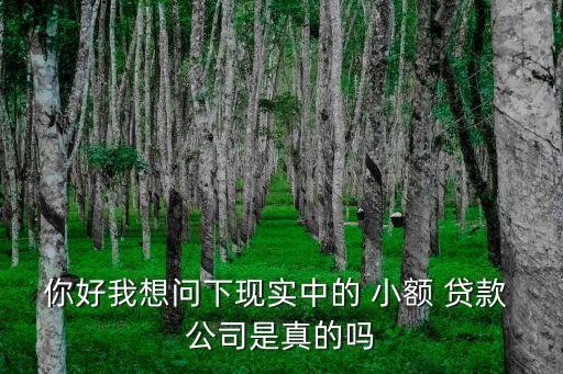 你好我想問下現(xiàn)實(shí)中的 小額 貸款 公司是真的嗎