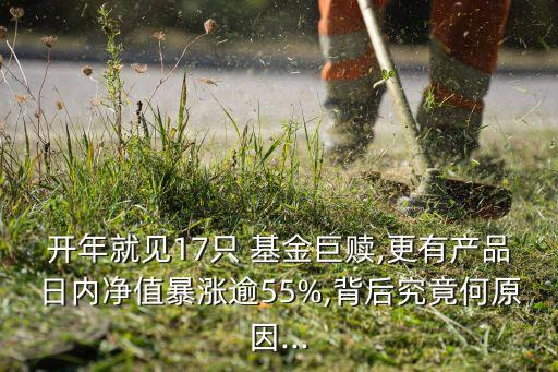 大額贖回基金影響,機(jī)構(gòu)大額贖回基金對(duì)個(gè)人是好還是不好
