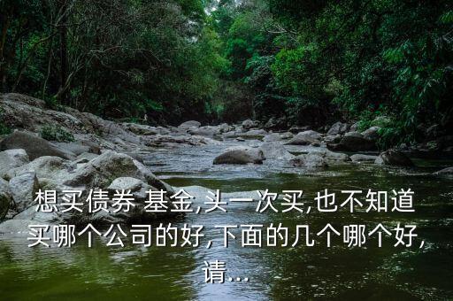 想買債券 基金,頭一次買,也不知道買哪個(gè)公司的好,下面的幾個(gè)哪個(gè)好,請...
