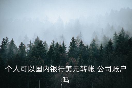 個(gè)人可以國(guó)內(nèi)銀行美元轉(zhuǎn)帳 公司賬戶嗎