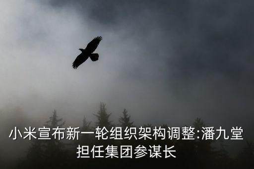 小米宣布新一輪組織架構(gòu)調(diào)整:潘九堂擔任集團參謀長
