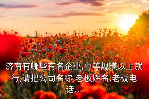 濟(jì)南有哪些有名企業(yè),中等規(guī)模以上就行,請把公司名稱,老板姓名,老板電話...