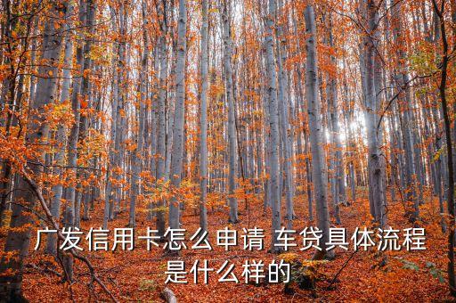  廣發(fā)信用卡怎么申請(qǐng) 車(chē)貸具體流程是什么樣的
