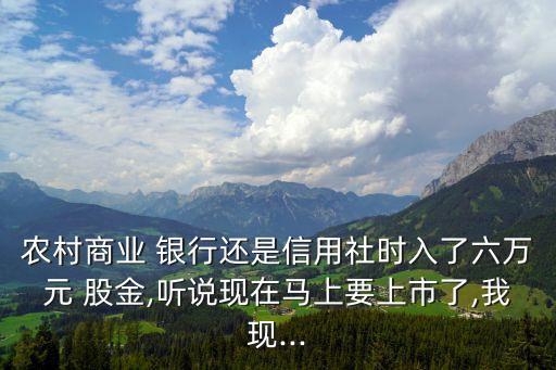農(nóng)村商業(yè) 銀行還是信用社時(shí)入了六萬(wàn)元 股金,聽(tīng)說(shuō)現(xiàn)在馬上要上市了,我現(xiàn)...