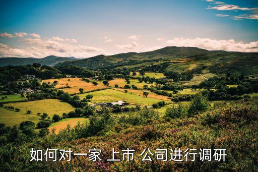 如何對一家 上市 公司進(jìn)行調(diào)研