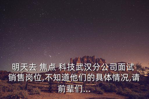 焦點(diǎn)科技股份有限公司銷售怎么樣,南京焦點(diǎn)科技股份有限公司