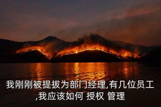 我剛剛被提拔為部門經(jīng)理,有幾位員工,我應該如何 授權 管理