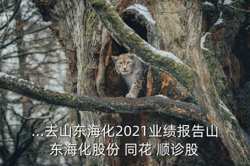 ...去山東?；?021業(yè)績報告山東海化股份 同花 順診股