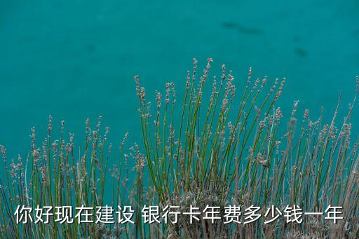 你好現(xiàn)在建設(shè) 銀行卡年費多少錢一年