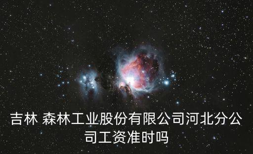 吉林 森林工業(yè)股份有限公司河北分公司工資準時嗎