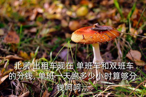  北京 出租車(chē)現(xiàn)在 單班車(chē)和雙班車(chē)的分錢(qián), 單班一天跑多少小時(shí)算夠分錢(qián)呵呵...