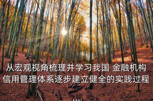 從宏觀(guān)視角梳理并學(xué)習(xí)我國(guó) 金融機(jī)構(gòu)信用管理體系逐步建立健全的實(shí)踐過(guò)程...