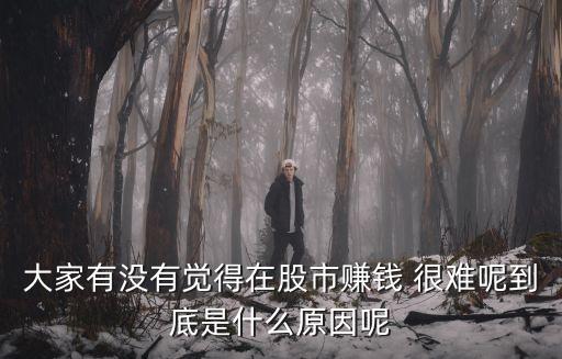 大家有沒(méi)有覺(jué)得在股市賺錢(qián) 很難呢到底是什么原因呢