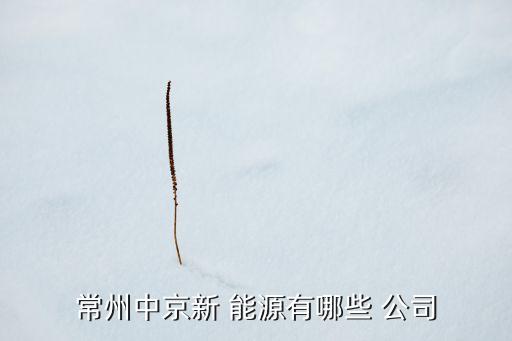 寧武能源投資有限責(zé)任公司,六枝特區(qū)能源投資(集團(tuán))有限責(zé)任公司