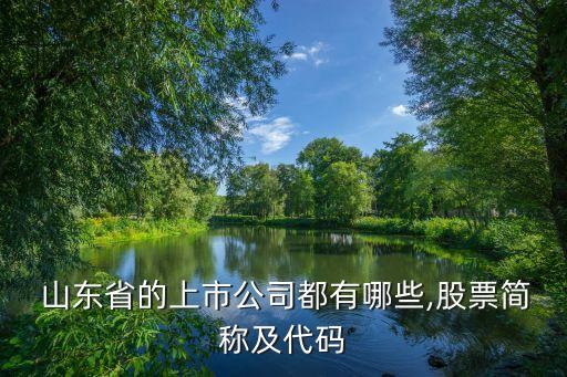  山東省的上市公司都有哪些,股票簡(jiǎn)稱(chēng)及代碼