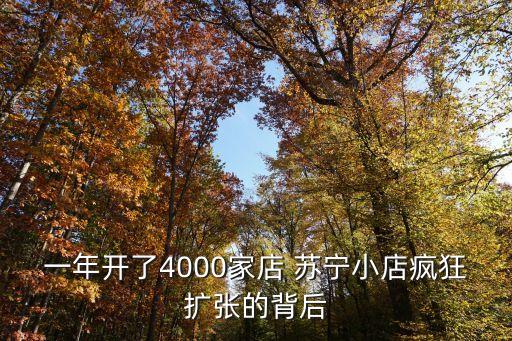 阿里投資蘇寧對(duì)騰訊的影響
