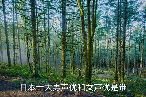 日本十大男聲優(yōu)和女聲優(yōu)是誰