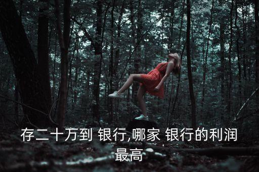 存二十萬(wàn)到 銀行,哪家 銀行的利潤(rùn)最高