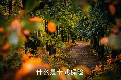 什么是卡式保險