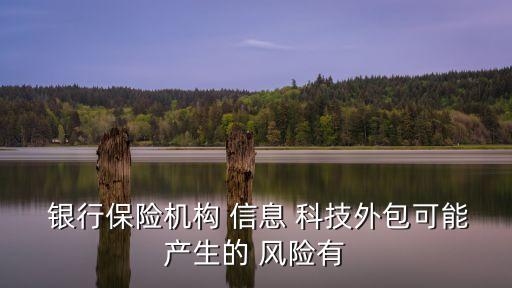  銀行保險機(jī)構(gòu) 信息 科技外包可能產(chǎn)生的 風(fēng)險有