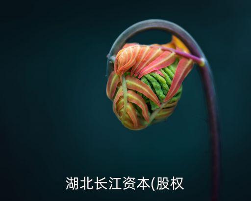 湖北長江資本(股權