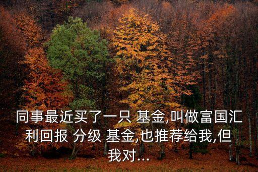 同事最近買了一只 基金,叫做富國匯利回報 分級 基金,也推薦給我,但我對...
