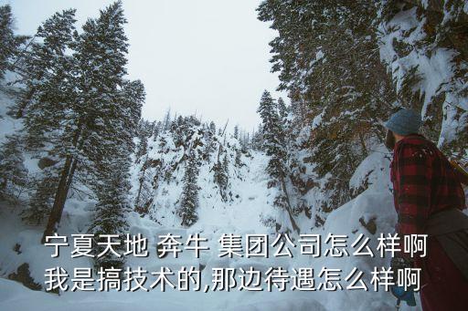  寧夏天地 奔牛 集團公司怎么樣啊我是搞技術的,那邊待遇怎么樣啊